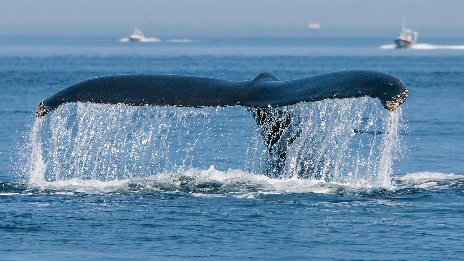Auf Erkundung in Grönland und Kanada mit Saint-Pierre und Miquelon Auf Erkundung in Grönland und Kanada mit Saint-Pierre und Miquelon