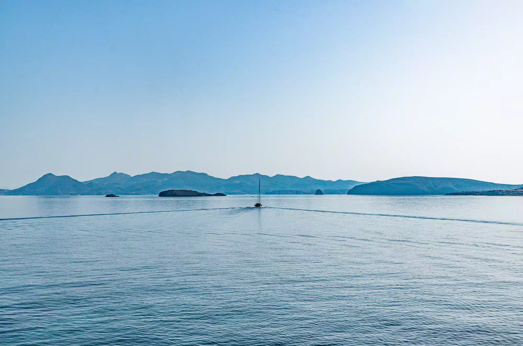 Louise Harra undefined