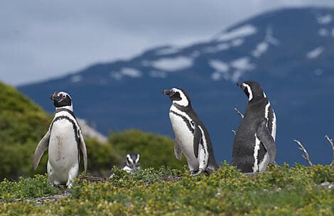 16. Mär 28 - Camarones