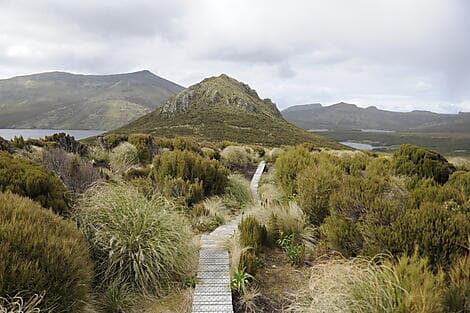 21. Jan 27 - Campbell Island