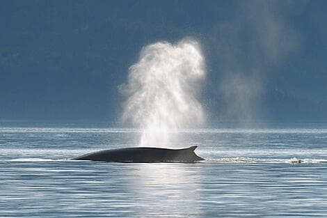9. Aug 27 - Kreuzen auf dem Sankt-Lorenz-Strom und Fahrt durch seine Schleusen