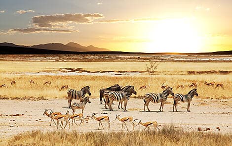 28. Dez 25 > 29. Dez 25 - Richards Bay