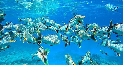 16. Nov 26 - Mataiva, Tuamotu-Archipel