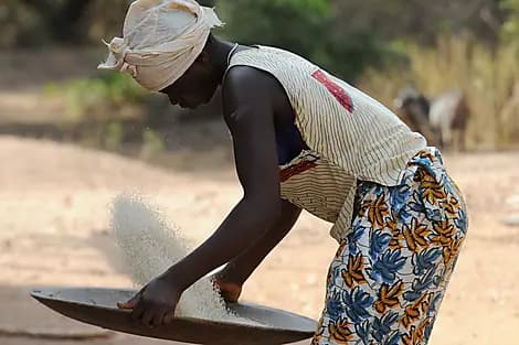 31. Dez 26 - Insel Carache, Bissagos