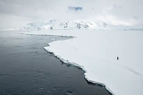 6. Jan 26 - The Gullet