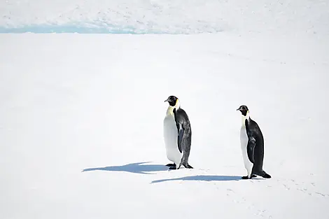 13. Mär 27 - Entdeckung des Weddell-Meers