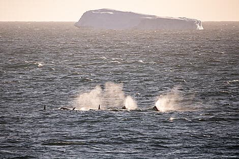 25. Jan 26 - Amundsensee