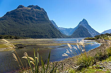 14. Jan 27 - Milford Sound