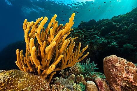 23. Jun 26 - Barat-Daya-Inseln