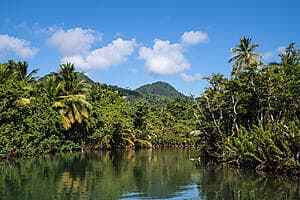 Indian River by rowboat