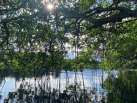 27. Dez 25 - La Ensenada