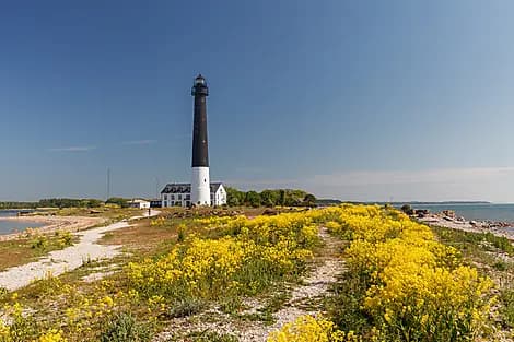 14. Jul 26 - Saaremaa