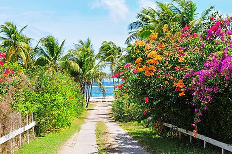 23. Mär 27 - Charlestown, Nevis