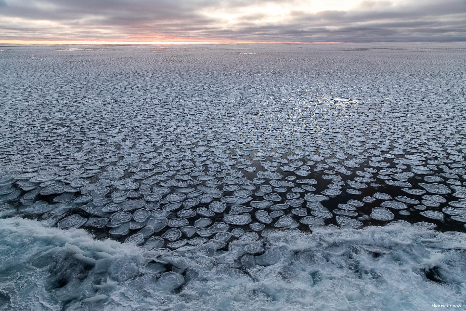 Halbrundung Antarktis – Entdeckung der Westküste 