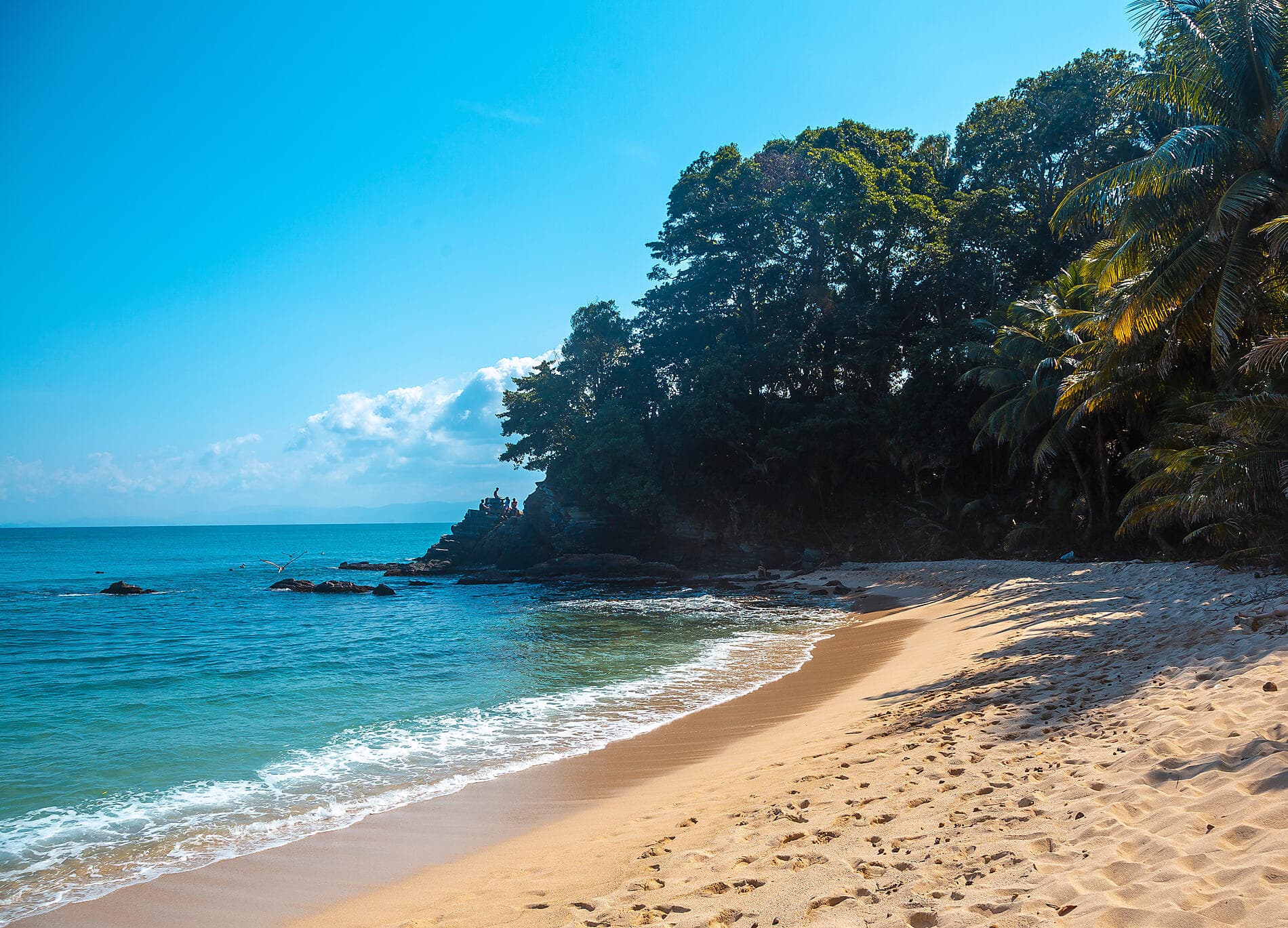 Naturschutzgebiete und Begegnungen in der Karibik 