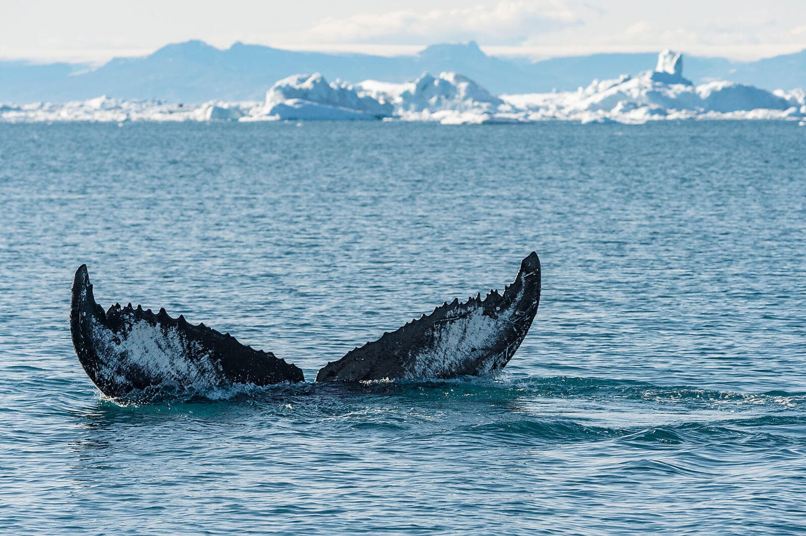 Im Herzen der Nordwestpassage ©StudioPONANT-Laurence Fischer