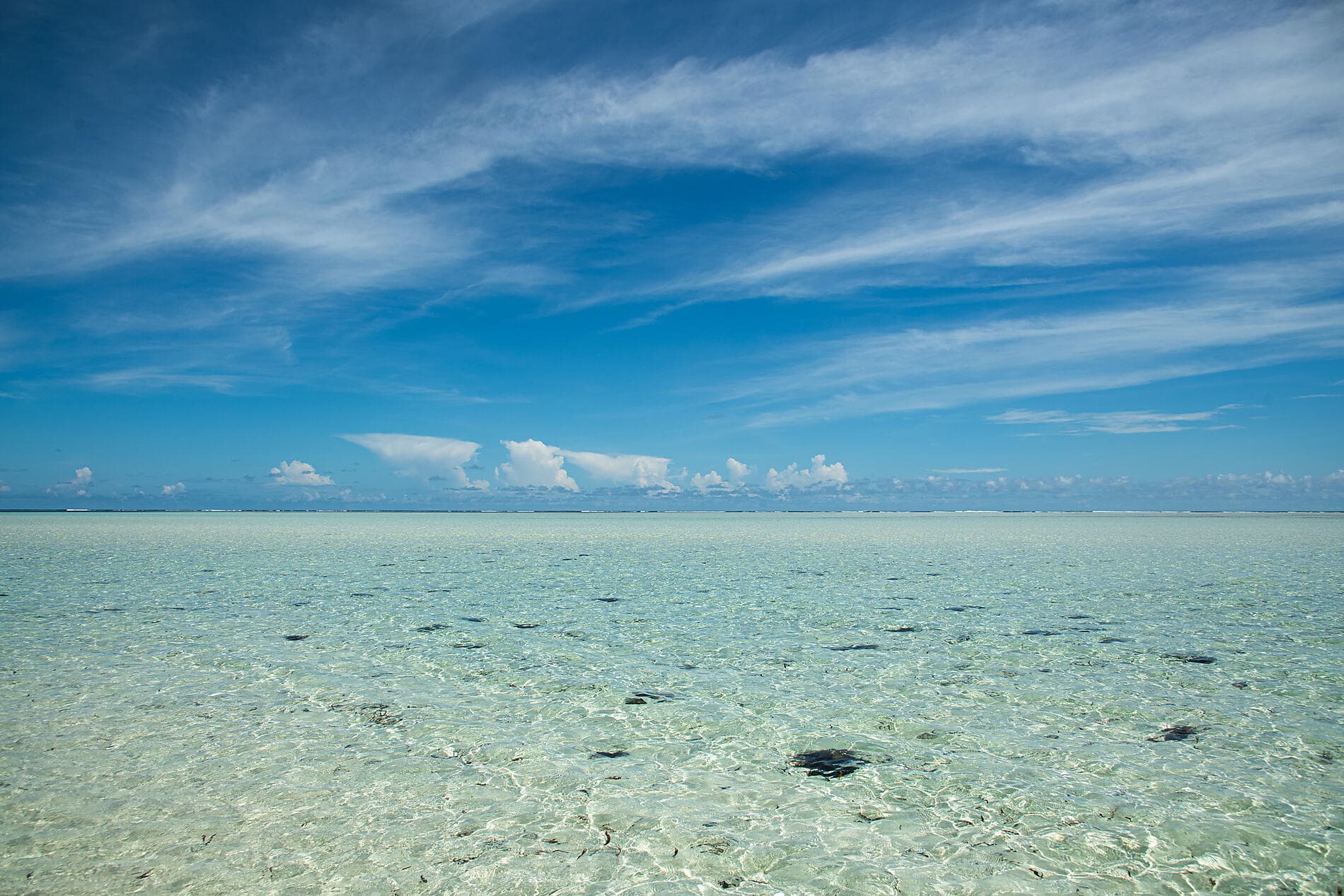 Madagaskar und die Seychellen: Naturschätze des Indischen Ozeans – mit Smithsonian Journeys