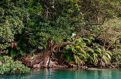 27. Feb 26 - Iriomotejima