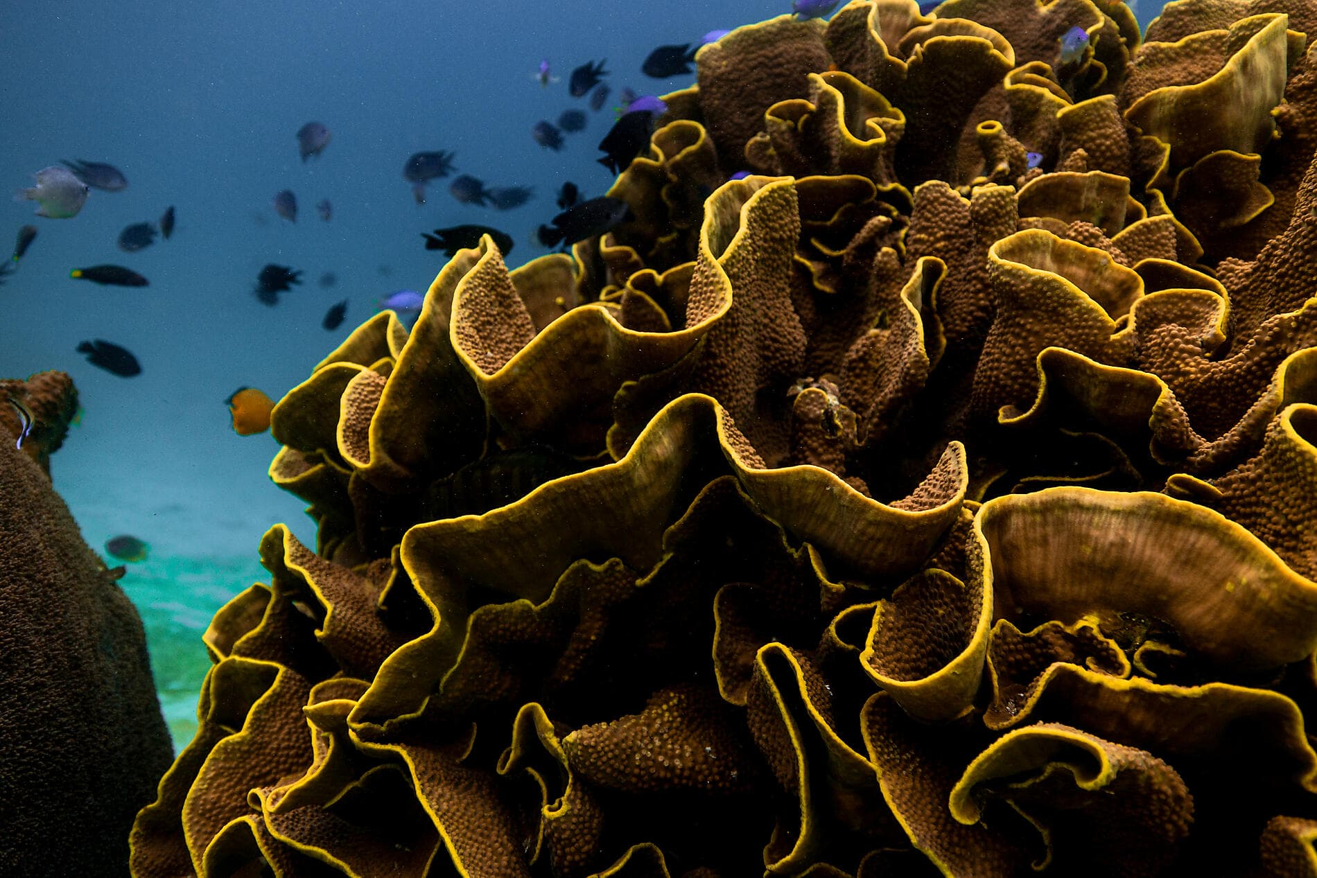 Heilige Tempel und Naturschätze in Indonesien