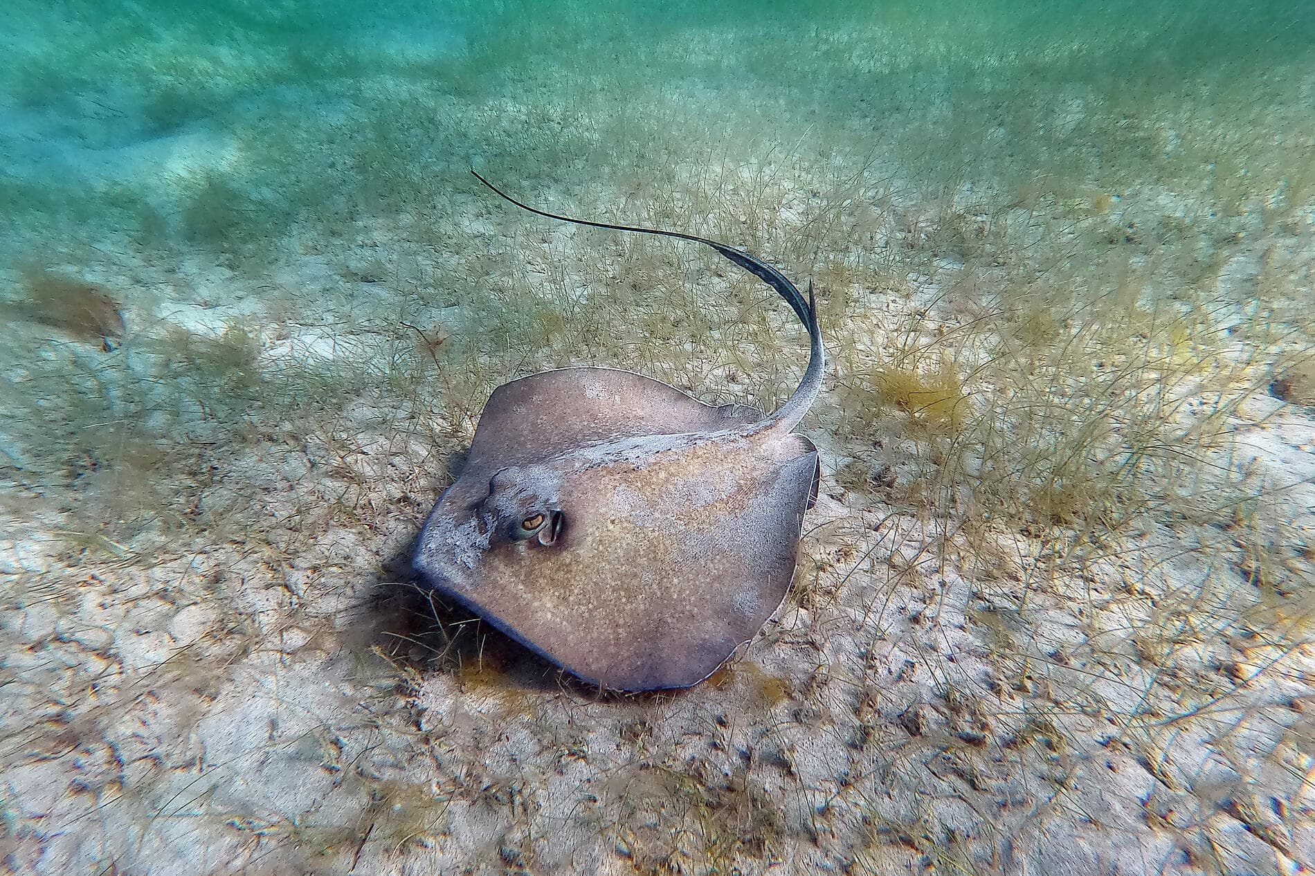 Unterwegs unter Segeln im Herzen der Kleinen Antillen 