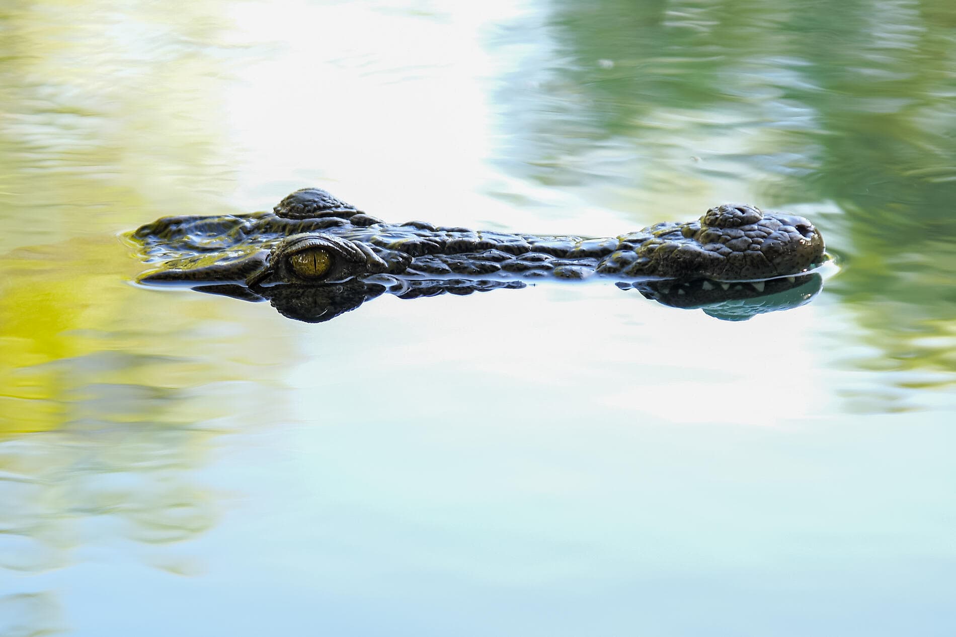 Madagaskar und Südafrika