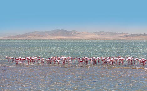 29. Mär 26 - Walvis Bay