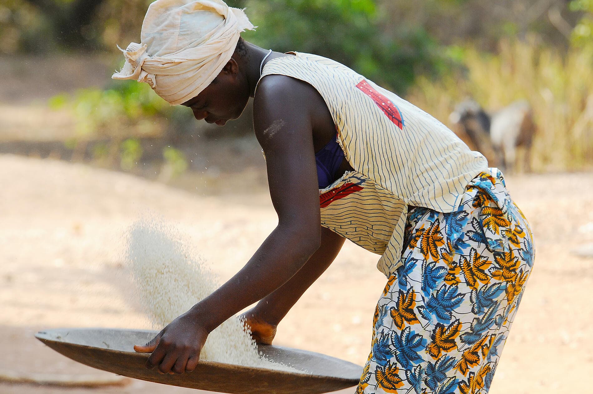 Abenteuer auf den Bissagos  