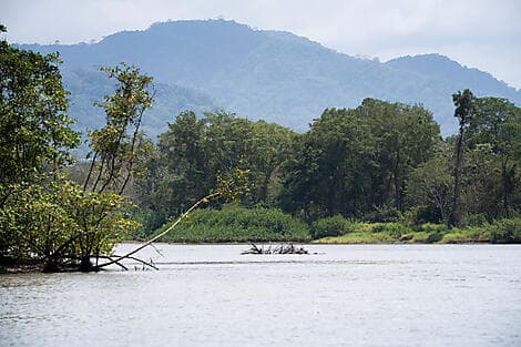 3. Jan 27 - Playa Mantas