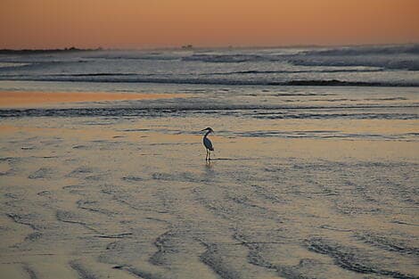 19. Mär 27 - Rio Grande