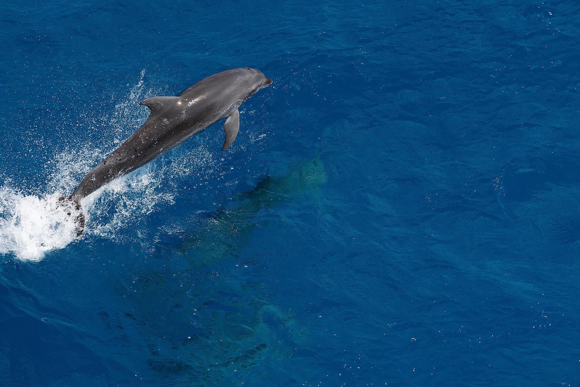 Südsee pur: Marquesas, Tuamotu und Gesellschaftsinseln 