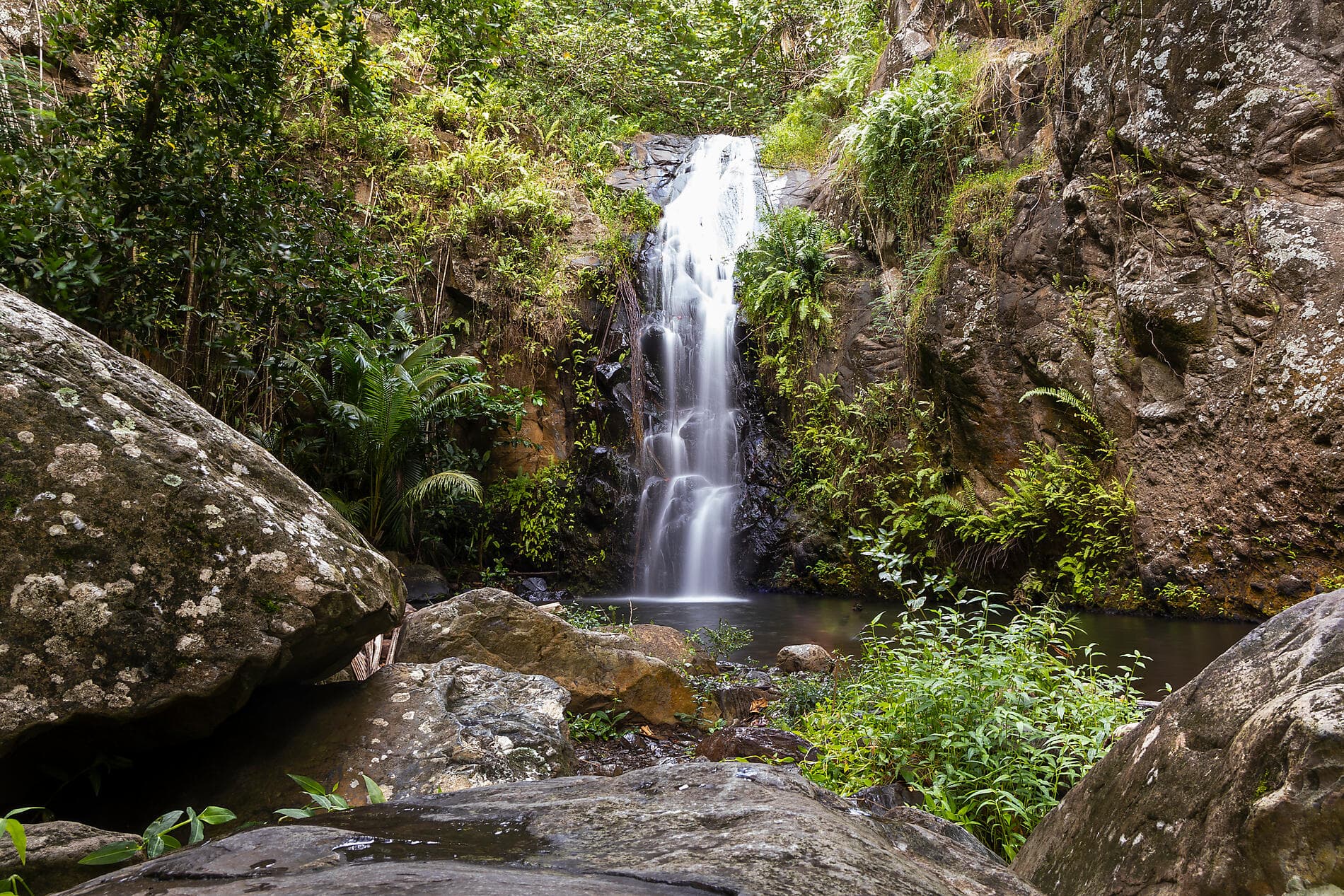 Südsee pur: Marquesas, Tuamotu und Gesellschaftsinseln 