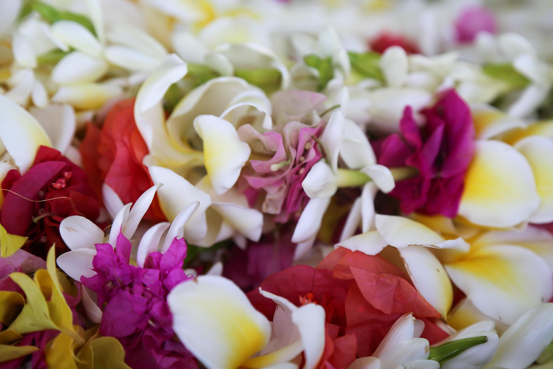 Französisch-Polynesien und die Insel Pitcairn 