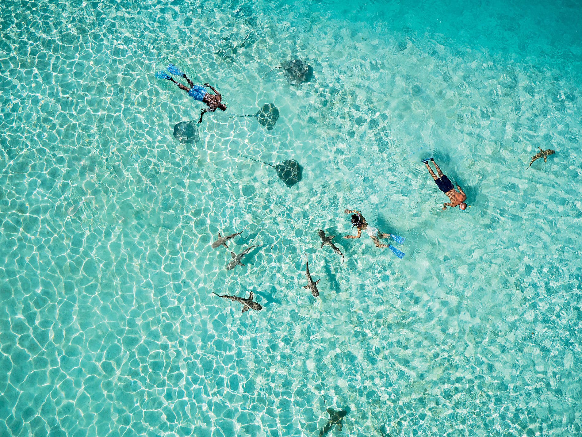 Unentdeckte Südsee: Gesellschaftsinseln und Austral-Inseln 