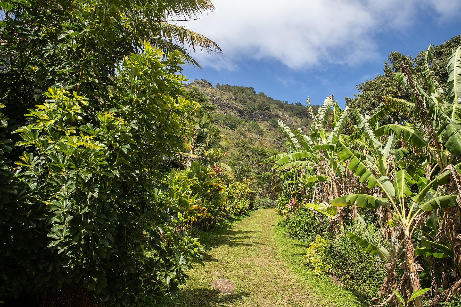 Unentdeckte Südsee: Gesellschaftsinseln und Austral-Inseln 