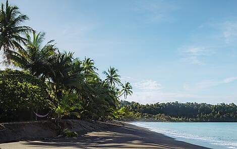 4. Jan 27 - Isla de Cedros