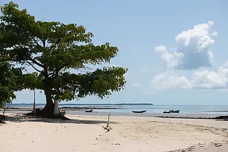 3. Jan 27 - Joao Vieira Insel, Bissagos