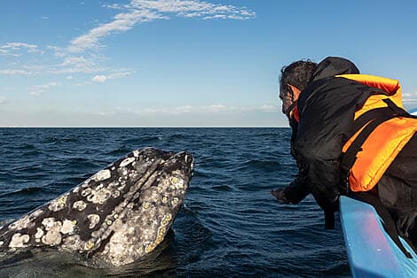 22. Feb 27 - Guerrero Negro