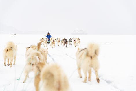 4. Sep 27 - Qeqertarsuaq