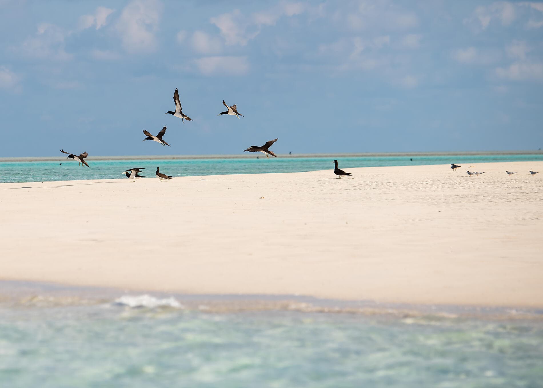 Unentdeckte Schätze Australiens