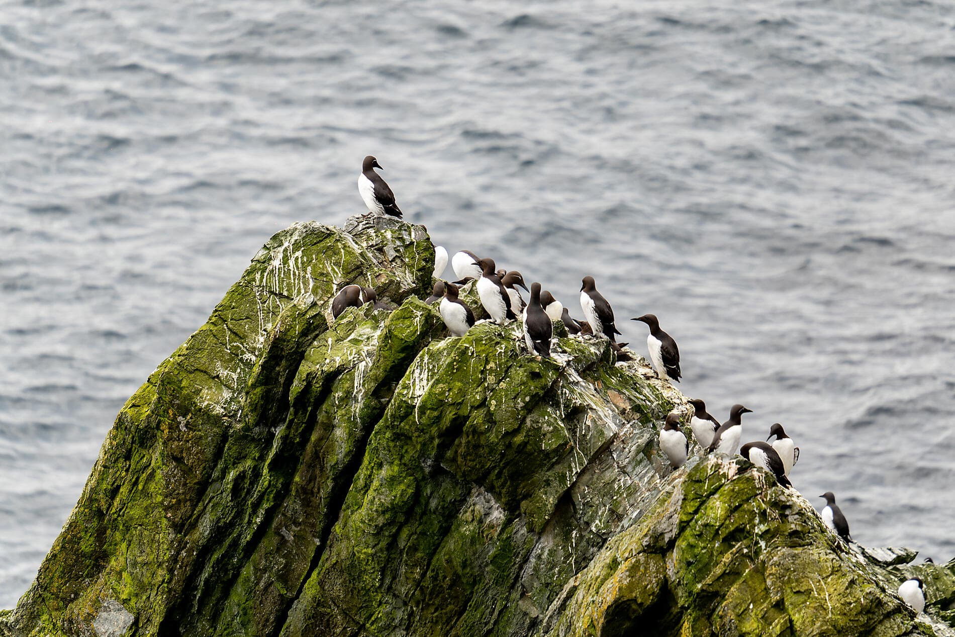 Legendäre Länder und Städte des Nordens 