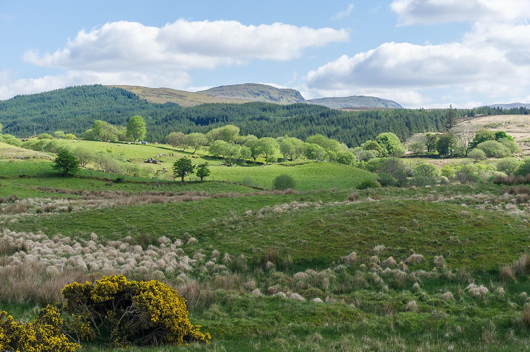 Komplette Umrundung Irlands