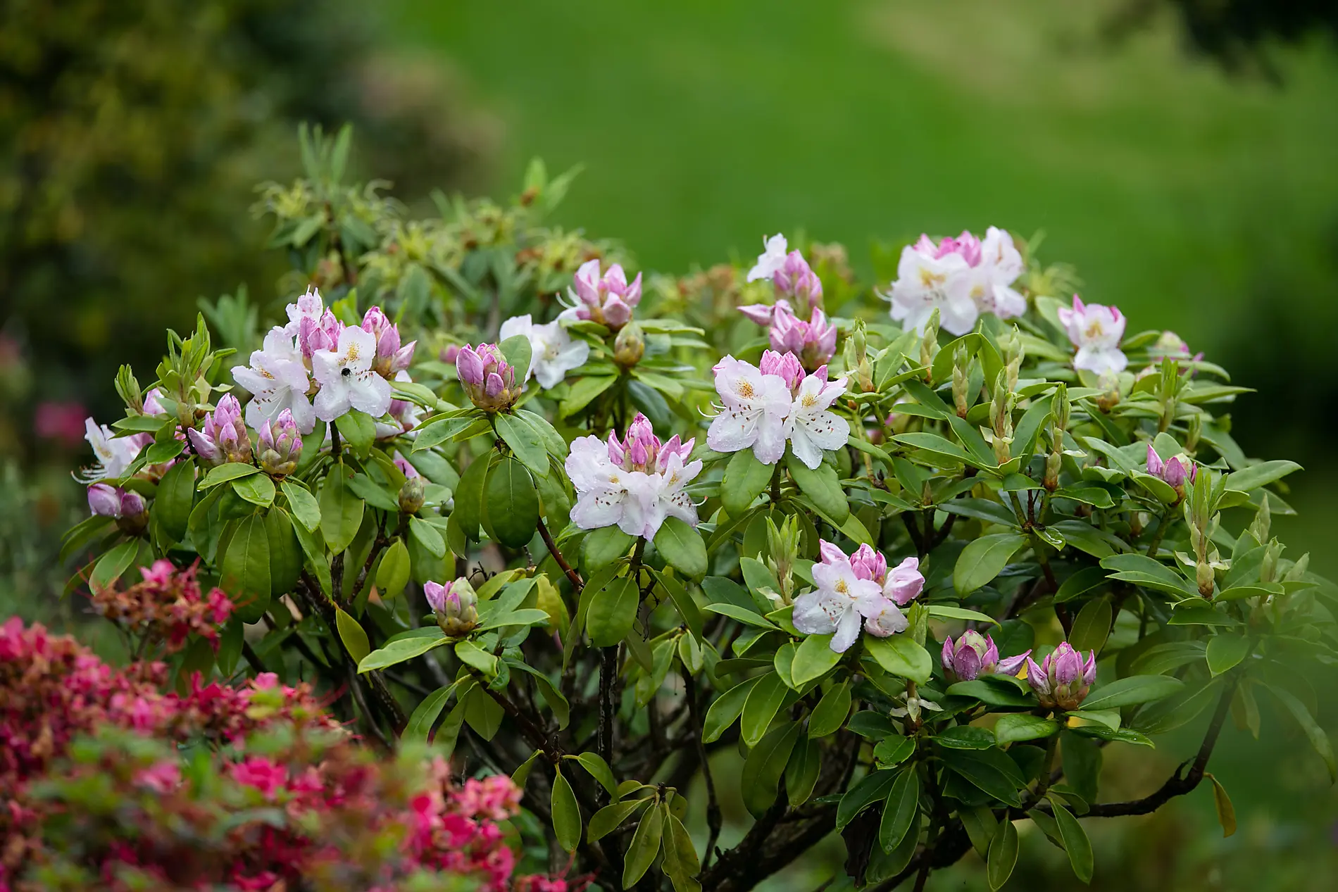 Komplette Umrundung Irlands