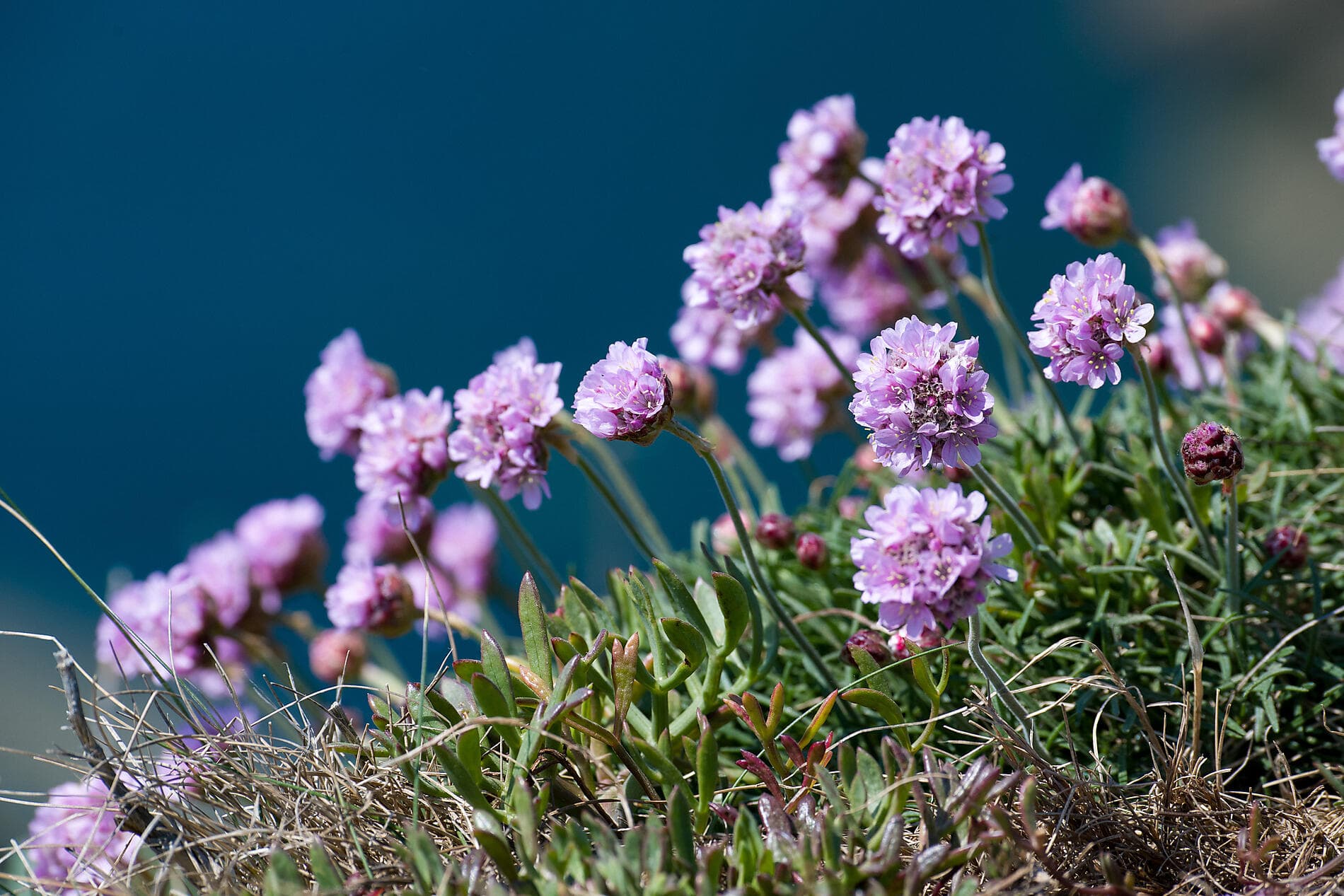 Komplette Umrundung Irlands