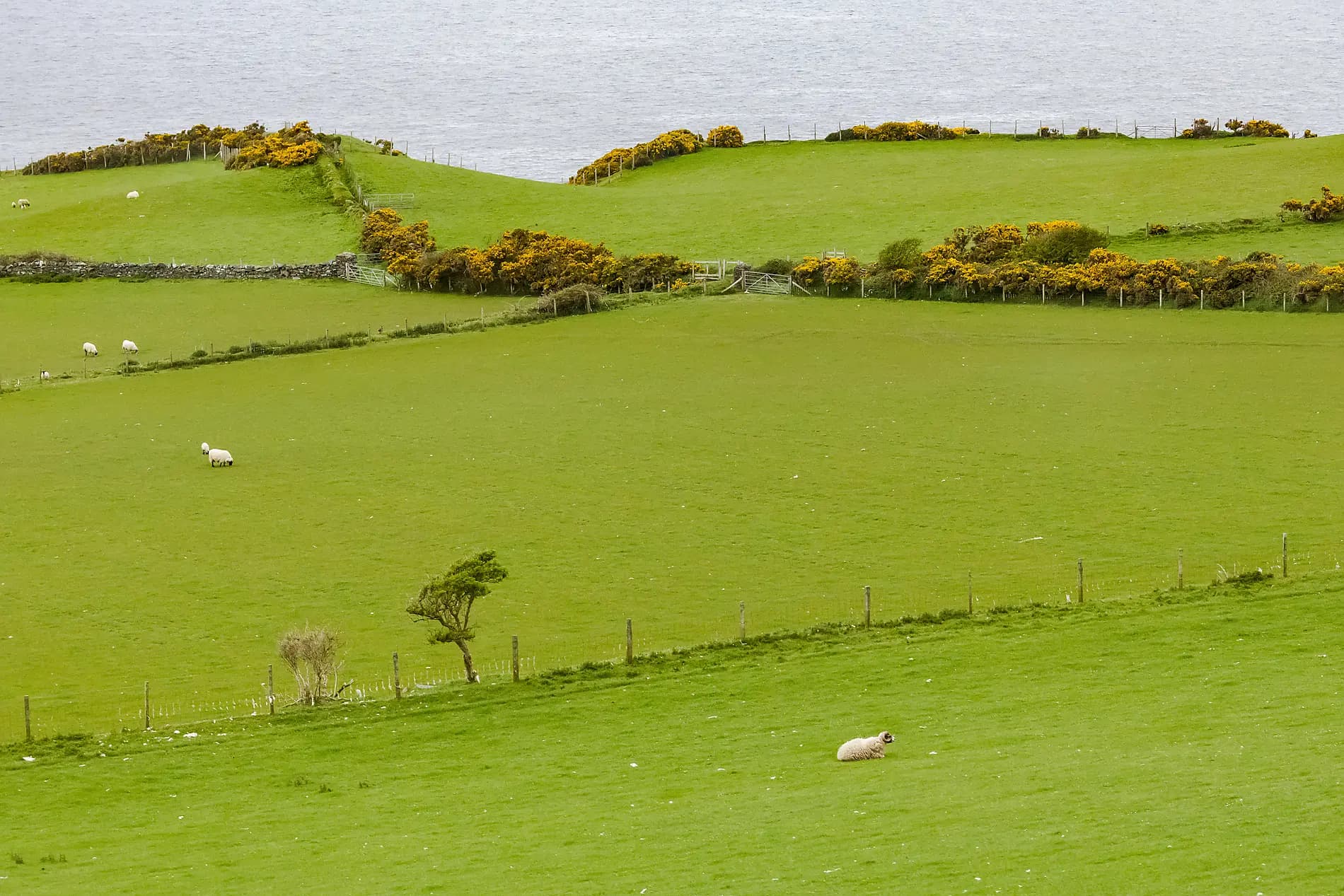 In keltischen Gefilden, von Irland nach Schottland 