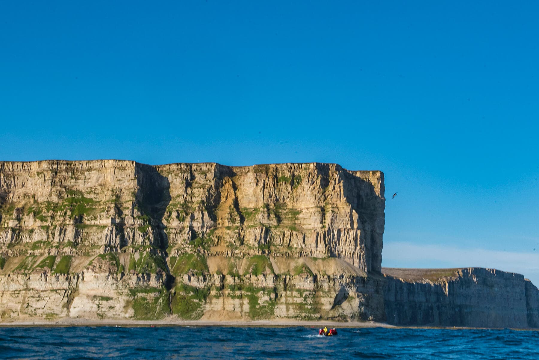 Wilde Küsten von Grönland bis zur Ostküste Kanadas 