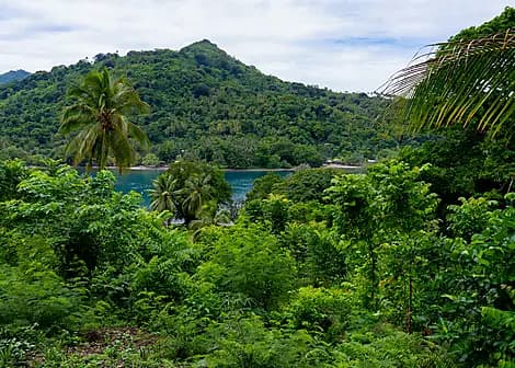 7. Feb 27 - Samarai