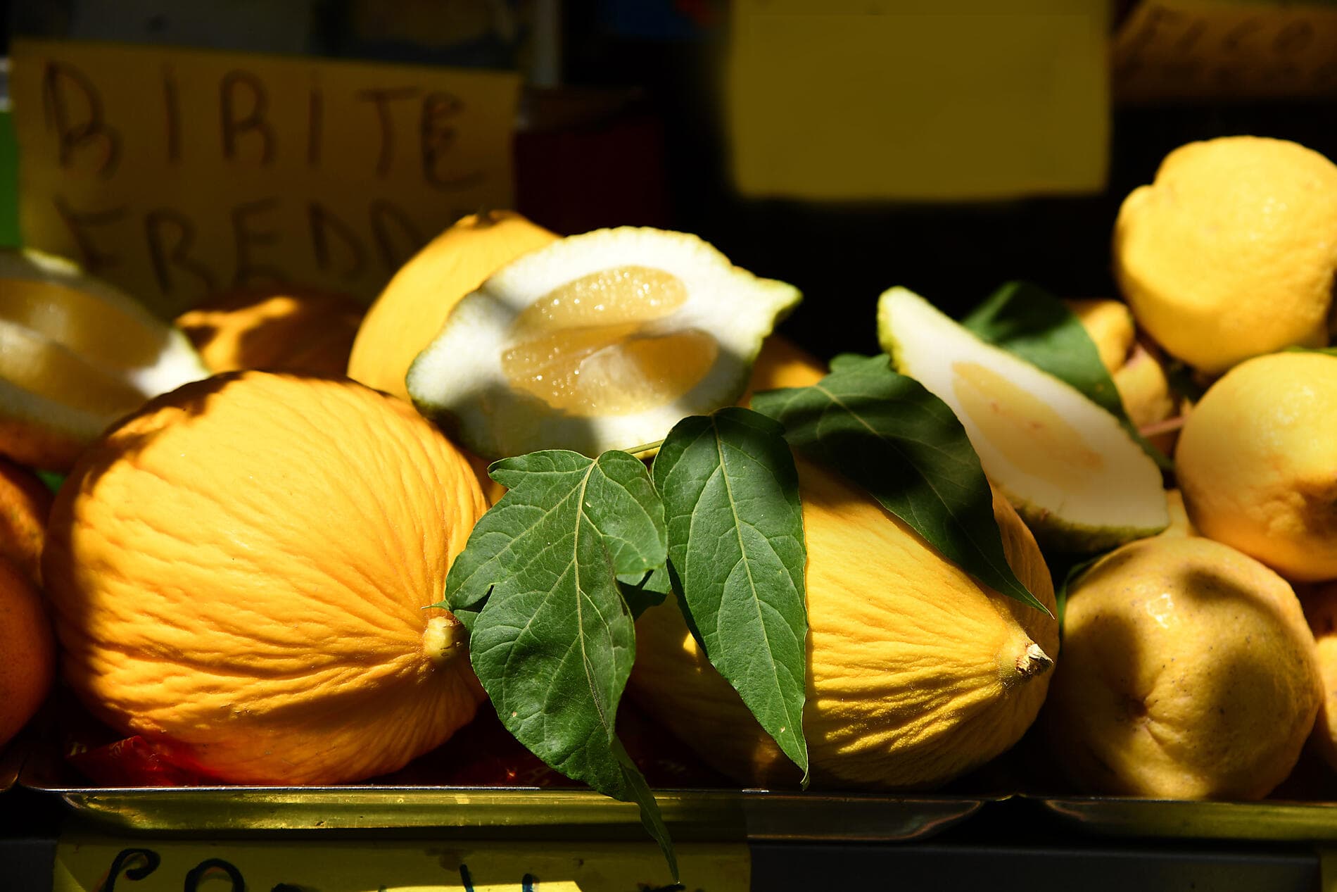 Von den iberischen Küsten bis nach Italien