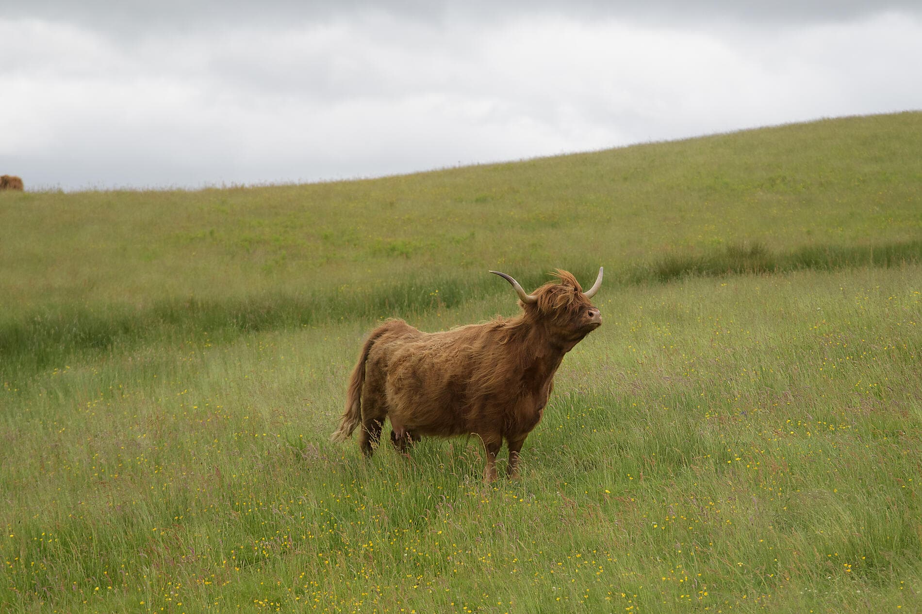 Mythische Inseln und wilde Landschaften auf den Hebriden 