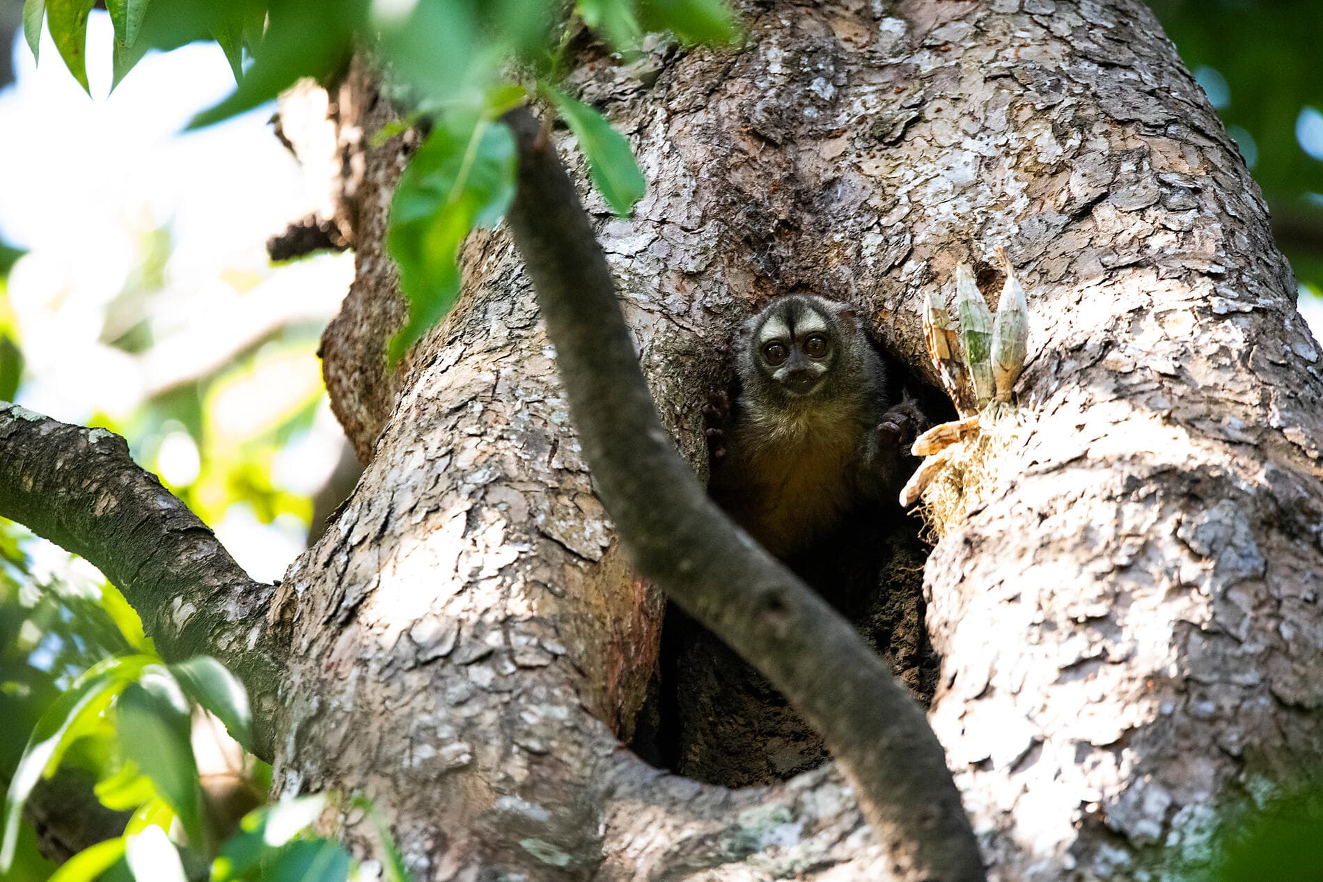 Von der wilden Schönheit Panamas zu den faszinierenden Ufern Perus 