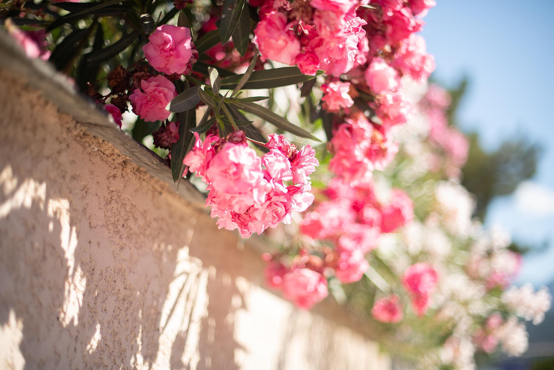 Kleine Auszeit zwischen der Provence und Katalonien 